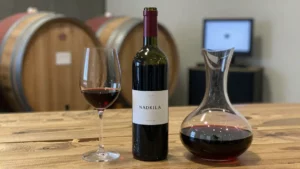 Etna Rosso – czerwone wino z wulkanicznych zboczy Etny
