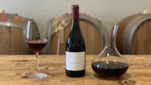 Primitivo di Manduria – czym różni się od prostych win Primitivo