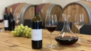 Primitivo – skąd bierze się popularność tego południowowłoskiego szczepu