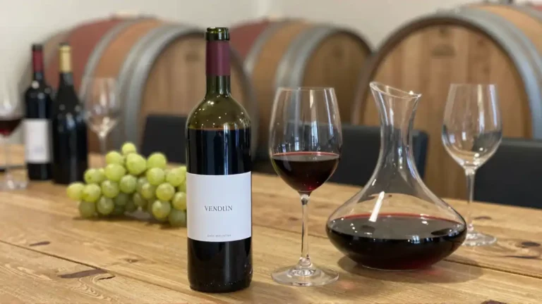 Primitivo – skąd bierze się popularność tego południowowłoskiego szczepu