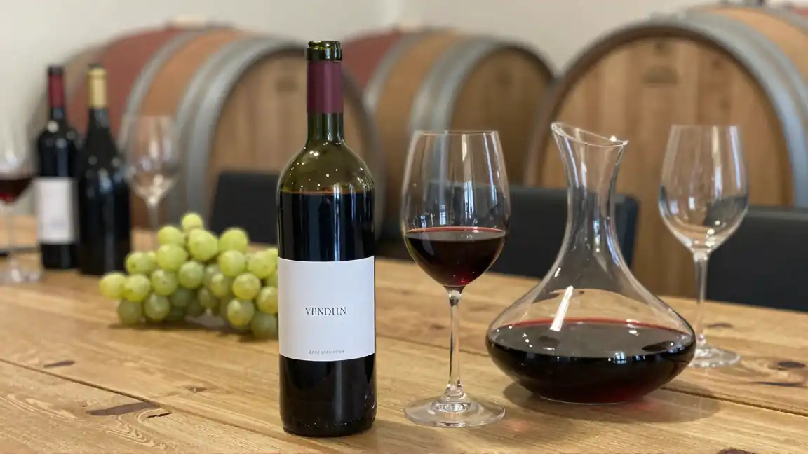 Primitivo – skąd bierze się popularność tego południowowłoskiego szczepu