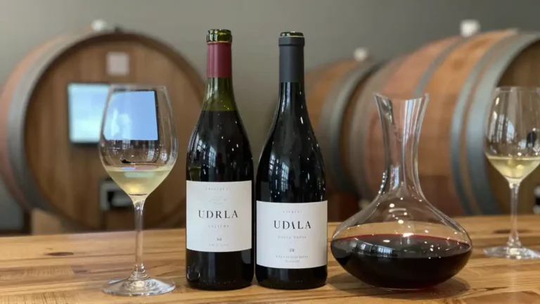 Wino do jedzenia – jak łączyć smak potrawy i charakter butelki