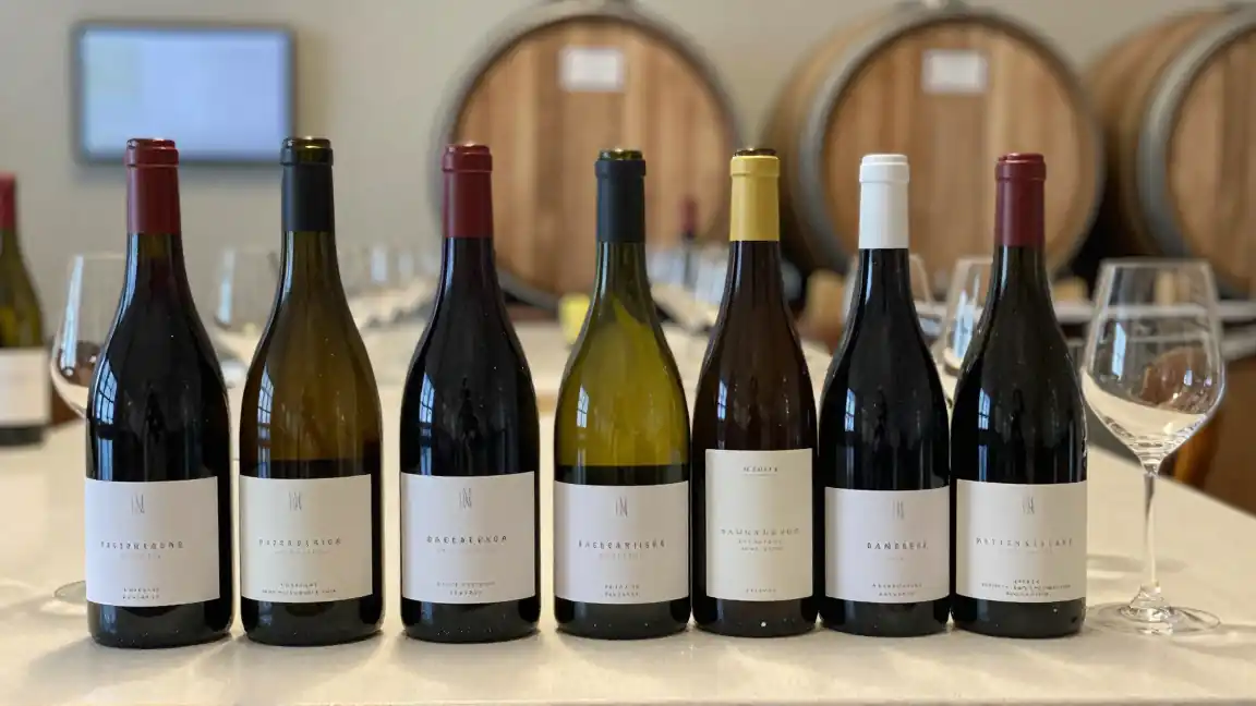 Wino koszerne – co oznacza koszerność w produkcji wina