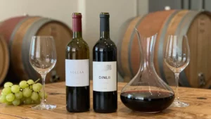 Wino – style, szczepy, regiony i podstawy świadomego wyboru