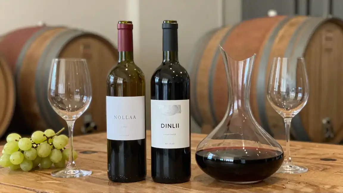Wino – style, szczepy, regiony i podstawy świadomego wyboru